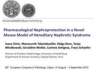 Pharmacological Nephroprotection in a Novel Mouse Model of Hereditary Nephrotic Syndrome
