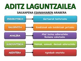 aditz laguntzailea