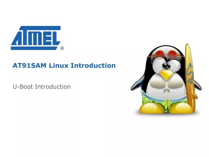 at91sam linux introduction
