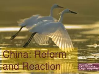 China: Reform and Reaction