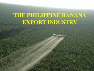 THE PHILIPPINE BANANA EXPORT INDUSTRY