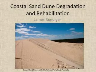 Coastal Sand Dune Degradation and Rehabilitation