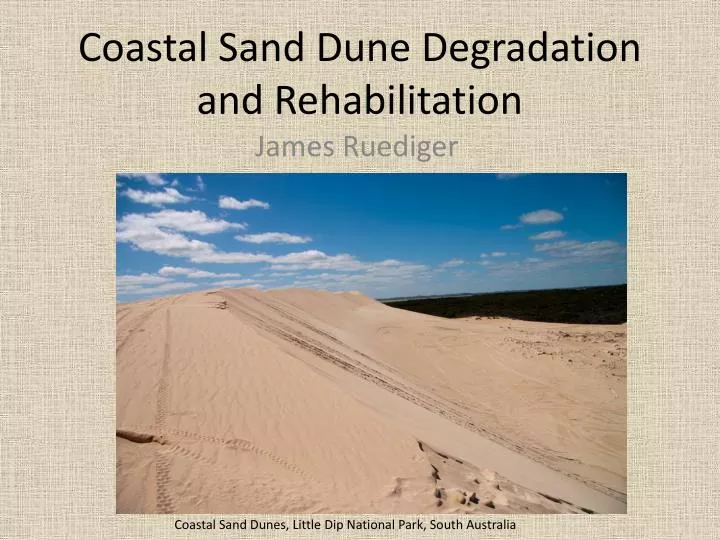 coastal sand dune degradation and rehabilitation