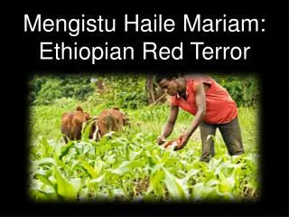 Mengistu Haile Mariam: Ethiopian Red Terror