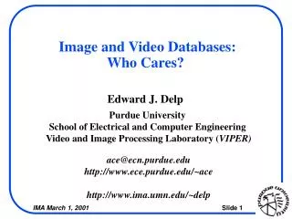 Image and Video Databases: Who Cares?