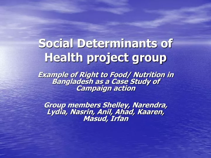 social determinants of health project group