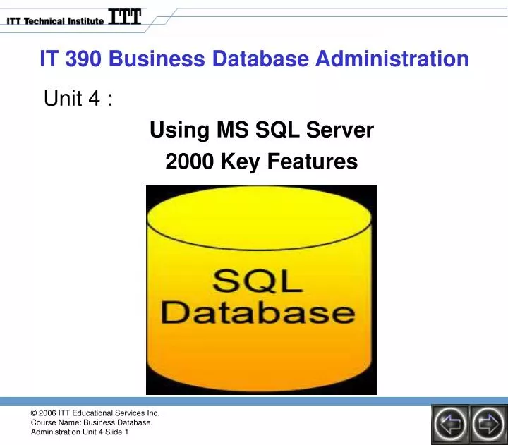 it 390 business database administration