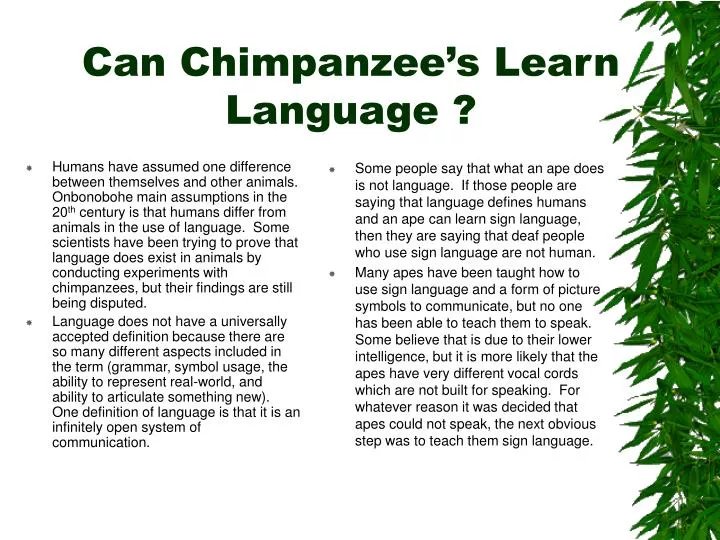can chimpanzee s learn language