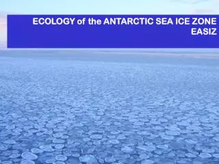 ECOLOGY of the ANTARCTIC SEA ICE ZONE EASIZ