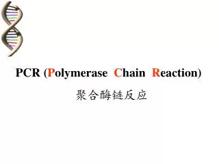 pcr p olymerase c hain r eaction