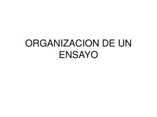 organizacion de un ensayo