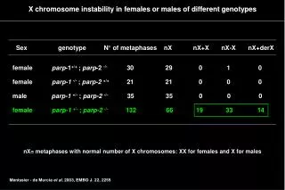 X chromosome instability in females or males of different genotypes