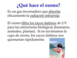 qu hace el ozono