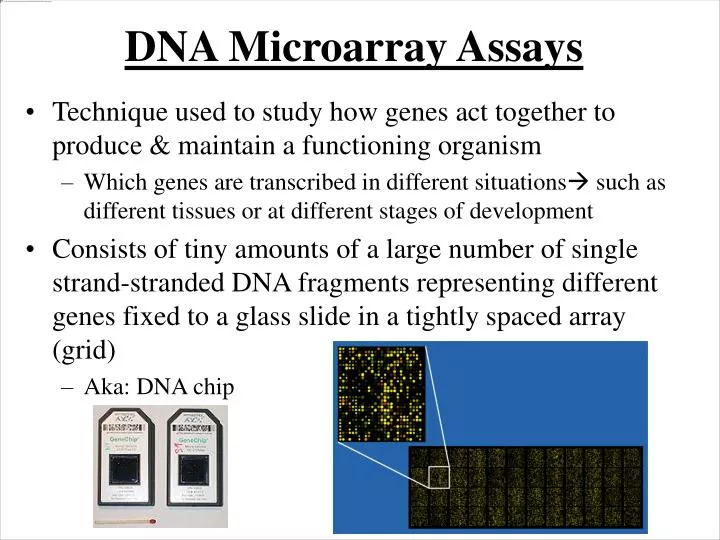 dna microarray assays