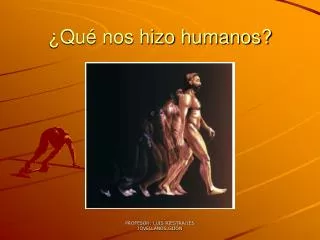 qu nos hizo humanos