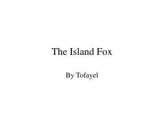 The Island Fox