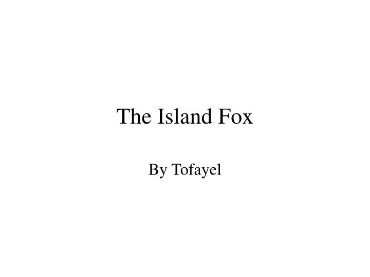 the island fox