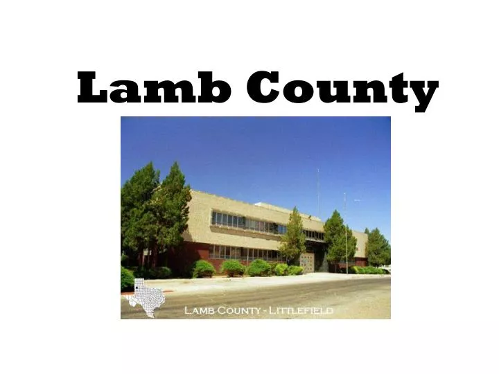 lamb county