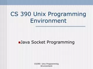 CS 390 Unix Programming Environment