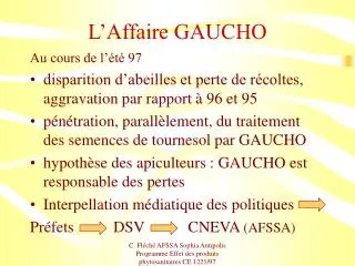 l affaire gaucho