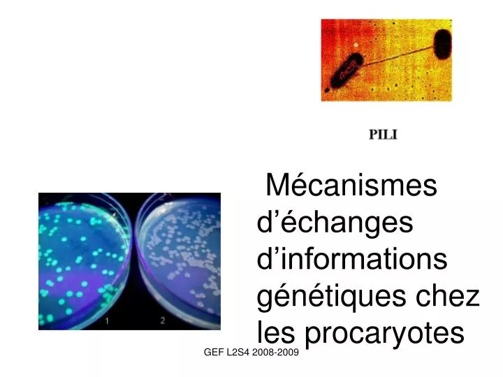 m canismes d changes d informations g n tiques chez les procaryotes