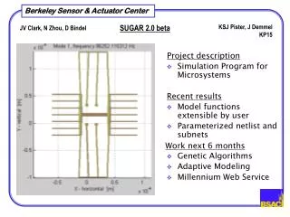 Simulation Program for Microsystems Model functions extensible by user