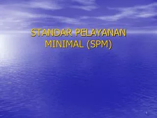 standar pelayanan minimal spm