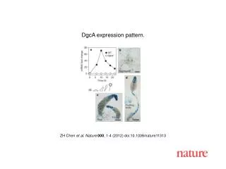 ZH Chen et al. Nature 000 , 1-4 (2012) doi:10.1038/nature 11313