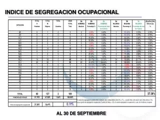 indice de segregacion ocupacional