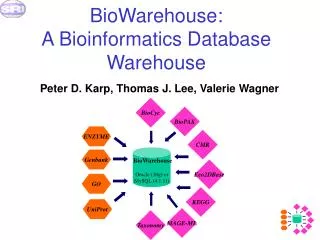 BioWarehouse: A Bioinformatics Database Warehouse