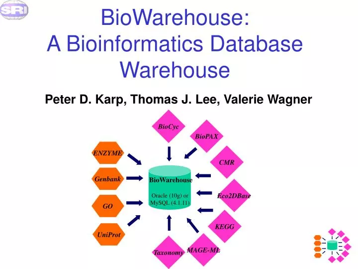 biowarehouse a bioinformatics database warehouse