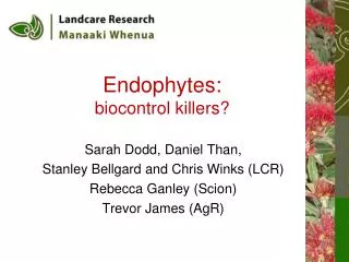 Endophytes: biocontrol killers?