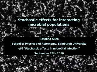 Stochastic effects for interacting microbial populations
