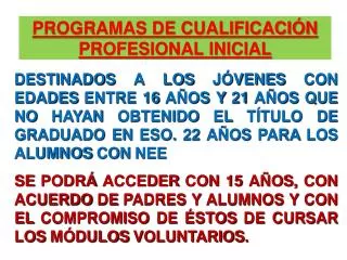 programas de cualificaci n profesional inicial