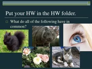 Put your HW in the HW folder.