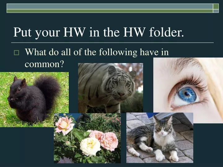 put your hw in the hw folder