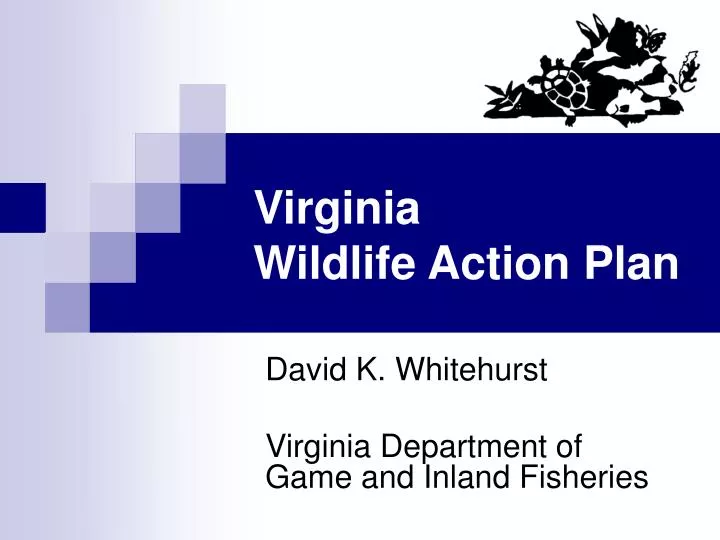 virginia wildlife action plan