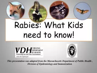 Rabies: What Kids need to know!