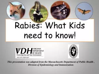 rabies what kids need to know