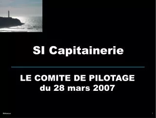 le comite de pilotage du 28 mars 2007