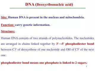 DNA ( Deoxyribonucleic acid )