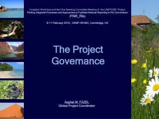 The Project Governance