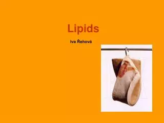 lipids