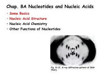 Chap. 8A Nucleotides and Nucleic Acids