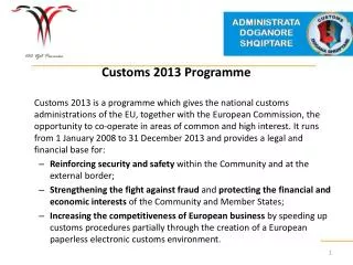Customs 2013 Programme