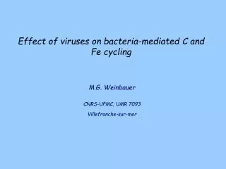 effect of viruses on bacteria mediated c and fe cycling