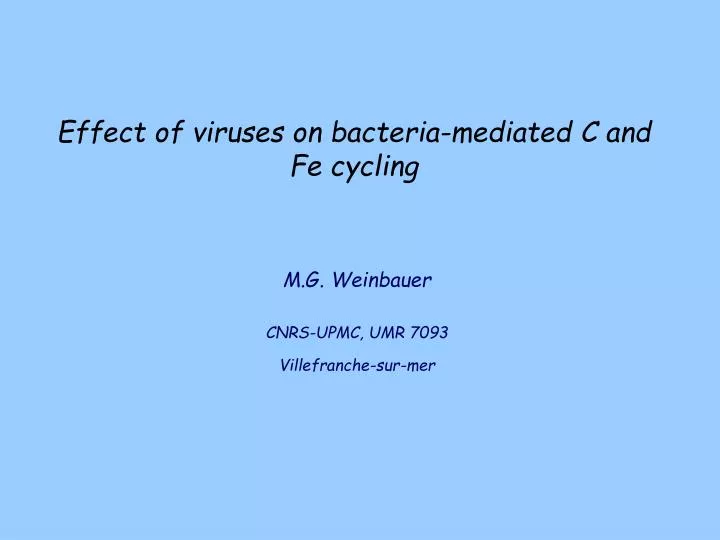 effect of viruses on bacteria mediated c and fe cycling