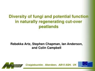 Diversit y of fungi and potential function in naturally regenerating cut-over peatlands