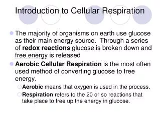 Introduction to Cellular Respiration