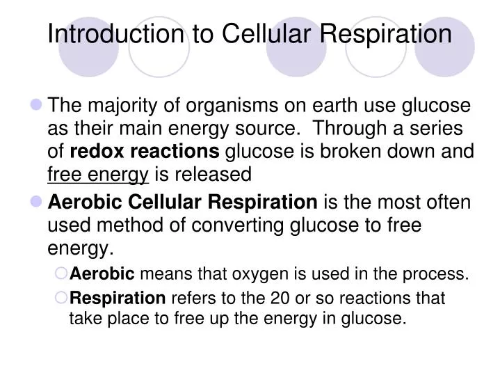 introduction to cellular respiration